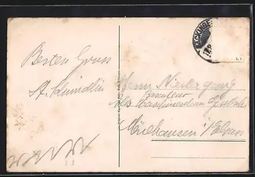 AK Säckingen a. Rhein, das Schloss, am Bergsee, Kirche am Rheinufer