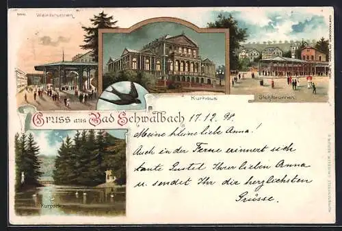 Lithographie Bad Schwalbach, Kurhaus, Weinbrunnen, Stahlbrunnen, Kurpark-Partie