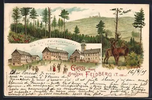 Lithographie Feldberg / Taunus, Die drei Feldberghäuser, Wald mit Blumensammler