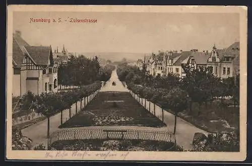 AK Naumburg a. S., Villen an der Luisenstrasse