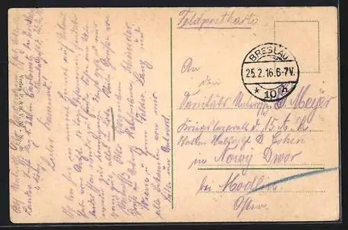 AK Naumburg a. S., Villen an der Luisenstrasse