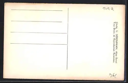 AK Alexandrette, Vue Générale