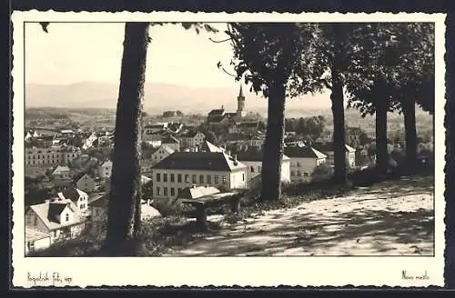 AK Novo Mesto, Blick von einer Anhöhe auf den Ort