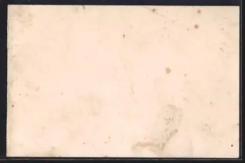 AK Windisch Feistritz, Strassenpartie aus der Vogelschau