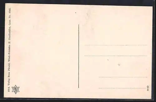 AK Windisch Feistritz, Triesterstrasse, Deutsche Volksschule, K. K. Bezirksgericht und Steueramt, Bezirkssparkassa