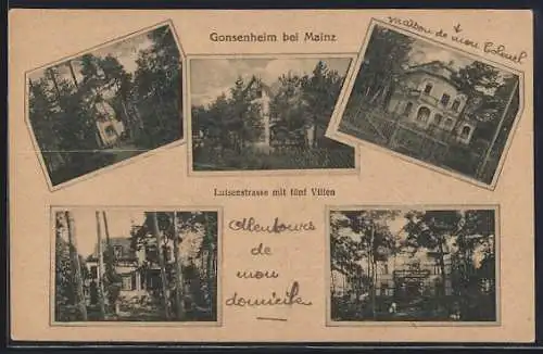 AK Gonsenheim, Luisenstrasse mit fünf Villen