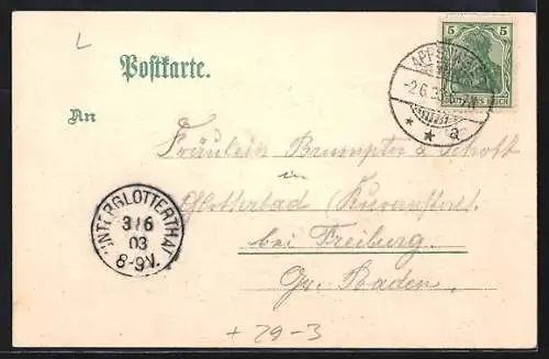 Passepartout-Lithographie Appenweier, Strassenpartie mit Passanten im Zweig mit Blättern