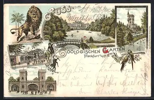 Lithographie Frankfurt, Zoologischer Garten, Bärenzwinger, Affenhaus, Aussichtsturm, Löwe