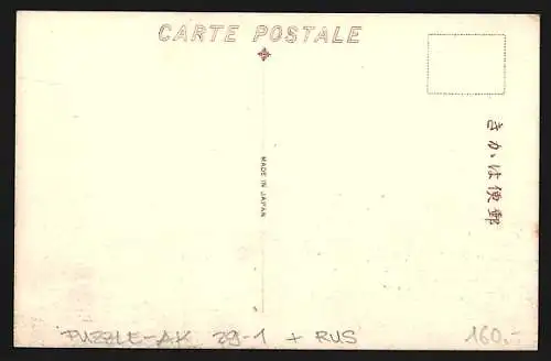 Panorama-AK 6 Karten Vladivostock, Stadtpanorama aus der Vogelschau