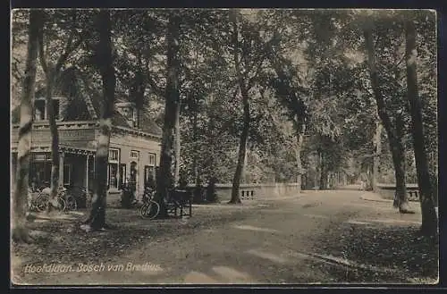 AK Naarden-Bussum, Hoofdlaan, Bosch van Bredius