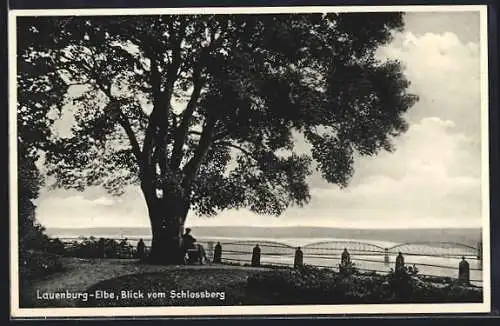 AK Lauenburg /Elbe, Blick vom Schlossberg