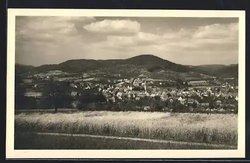 AK Sulzbach /Murr, Ortsansicht aus der Ferne