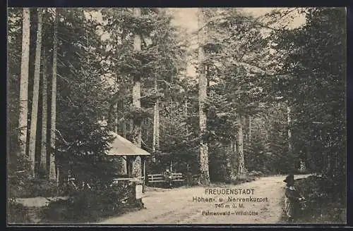 AK Freudenstadt, Palmenwald-Wildhütte