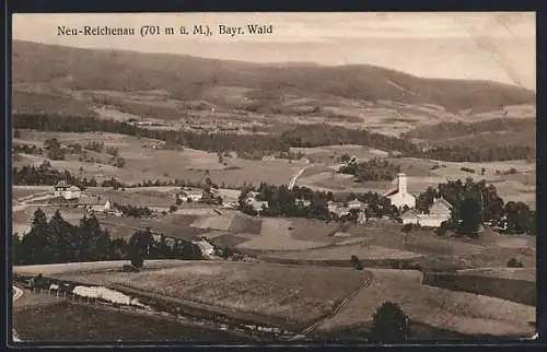 AK Neu-Reichenau /Bayr. Wald, Panorama mit Kirche