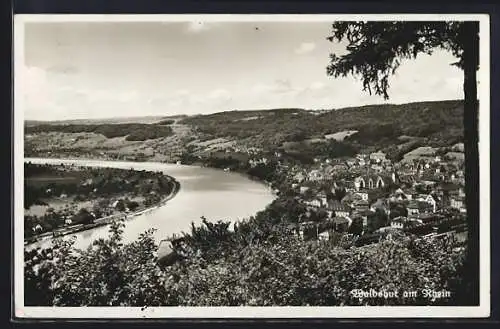 AK Waldshut am Rhein, Teilansicht mit Bäumen