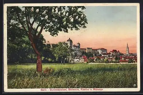 AK Bern, Bundespalast, Bellevue, Kasino und Münster, von einer Wiese gesehen