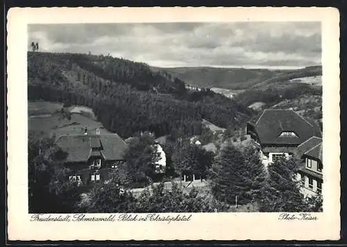 AK Freudenstadt im Schwarzwald, Blick ins Christophstal