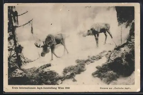 AK Wien, I. Int. Jagd-Ausstellung 1910, Diorama aus Exotische Jagd, Elche