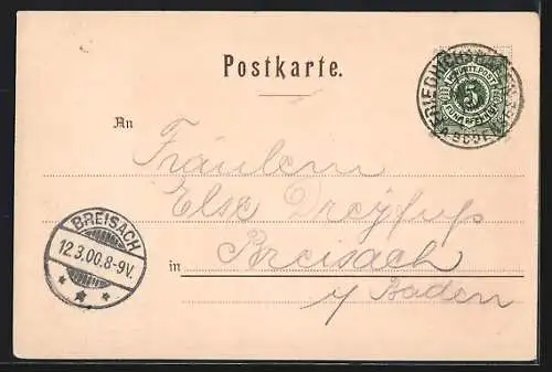 Lithographie Friedrichshafen /Bodensee, Seeblick auf die Stadt, Fischerboot und Möwen