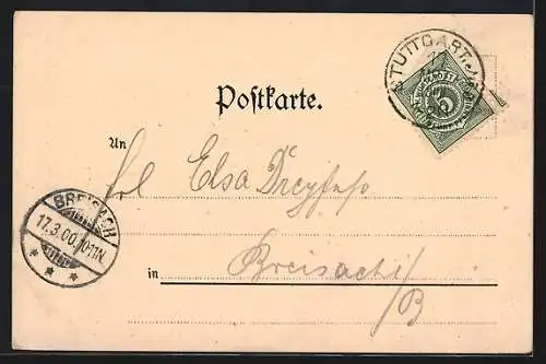 Lithographie Stuttgart, Johanneskirche, Partie aus den Königlichen Anlagen
