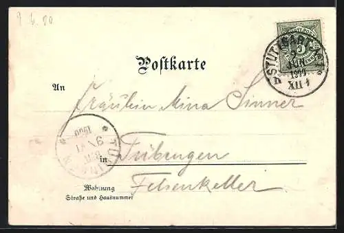 Lithographie Stuttgart, Königsbau, Hotel Marquardt, Königin Olga Bau