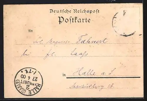Lithographie Jena, Sophienhöhe, Affenthurm, Totalansicht