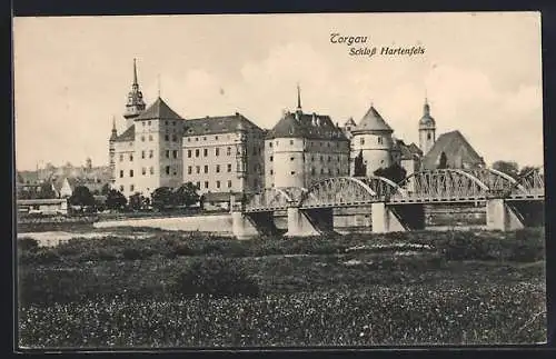 AK Torgau, Teilansicht mit Schloss Hartenfels