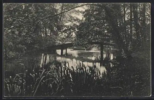 AK Jänkendorf, Brücke im Park