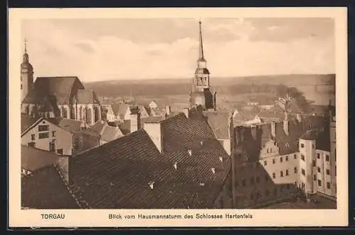 AK Torgau, Blick vom Hausmannsturm des Schlosses Hartenfels