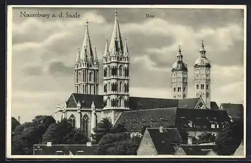 AK Naumburg a. d. Saale, Dom, Panoramaansicht