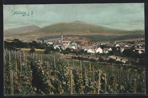 AK Müllheim, Blick über die Weinberge auf die Ortschaft