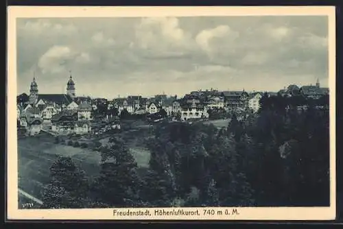 AK Freudenstadt, Teilansicht mit Bäumen