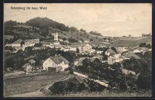 AK Schönberg im bayr. Wald, Teilansicht mit Strassenpartie