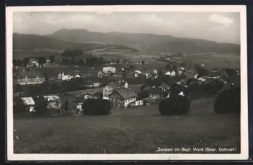 AK Zwiesel im Bayr. Wald, Teilansicht mit Bäumen