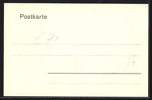 AK Nürnberg, Totalansicht