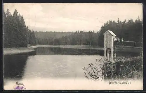 AK Buntenbock /Harz, Bärenbrucherteich