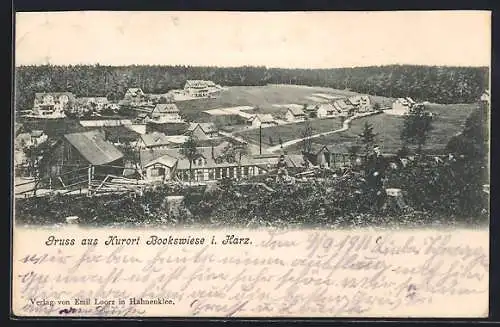 AK Bockswiese i. Harz, Teilansicht mit Strassenpartie