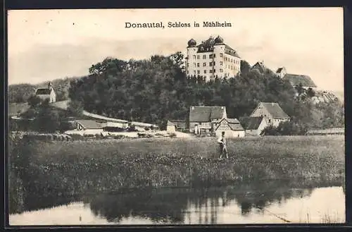 AK Mühlheim im Donautal, Blick zum Schloss