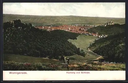 AK Wernigerode, Totalansicht mit Harburg und Schloss