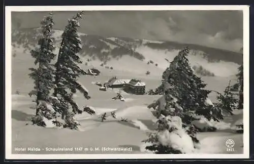 AK Schauinsland /Schwarzwald, Das Hotel Halde im Winter