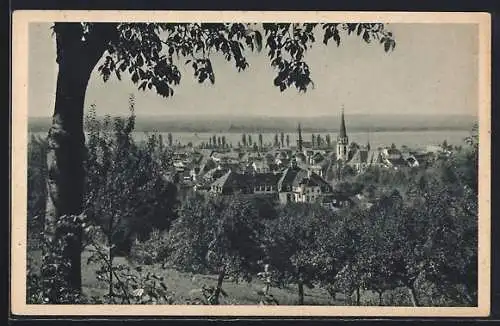 AK Emmendingen /Baden, Ortsansicht vom Berg aus