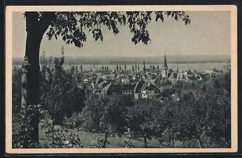 AK Emmendingen /Baden, Totalansicht vom Berg aus