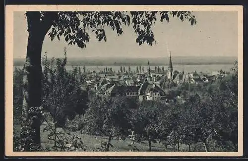 AK Emmendingen /Baden, Totalansicht vom Berg aus