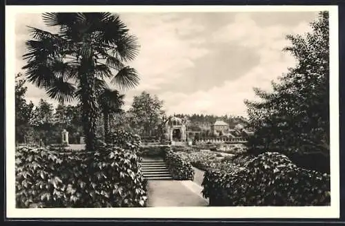 AK München-Nymphenburg, Botanischer Garten - Blick über den Schmuckhof zum Kaffeehaus