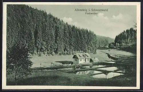 AK Altensteig i. Schwarzwald, Fischweiher