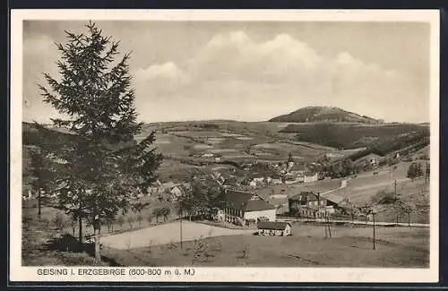 AK Geising i. Erzgebirge, Panorama mit Kirche