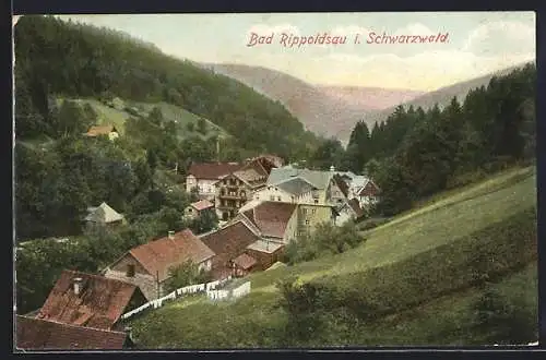 AK Bad Rippoldsau i. Schwarzwald, Teilansicht