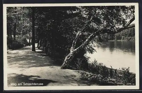 AK Berlin-Zehlendorf, Weg am Schlachtensee