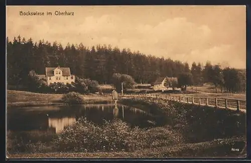 AK Bockswiese im Oberharz, Ortspartie