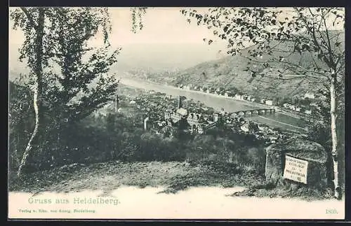 AK Heidelberg, Panorama mit Burg